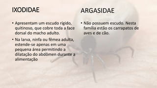 IXODIDAE 
• Apresentam um escudo rígido, 
quitinoso, que cobre toda a face 
dorsal do macho adulto. 
• Na larva, ninfa ou fêmea adulta, 
estende-se apenas em uma 
pequena área permitindo a 
dilatação do abdômen durante a 
alimentação 
ARGASIDAE 
• Não possuem escudo. Nesta 
família estão os carrapatos de 
aves e de cão. 
 