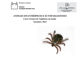 ANIMAIS SINANTRÓPICOS E ECTOPARASITOSES
       Curso Técnico de Vigilância em Saúde
                 Setembro /2012
 