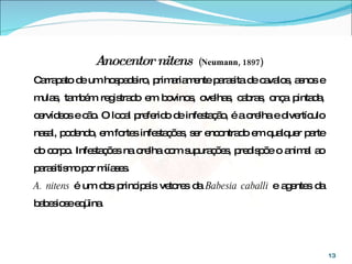 Anocentor nitens   (Neumann, 1897) Carrapato de um hospedeiro, primariamente parasita de cavalos, asnos e mulas, também registrado em bovinos, ovelhas, cabras, onça pintada, cervídeos e cão. O local preferido de infestação, é a orelha e divertículo nasal, podendo, em fortes infestações, ser encontrado em qualquer parte do corpo. Infestações na orelha com supurações, predispõe o animal ao parasitismo por miíases.  A. nitens  é um dos principais vetores da  Babesia caballi  e agentes da babesiose eqüina . 