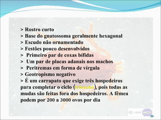 > Rostro curto > Base do gnatossoma geralmente hexagonal > Escudo não ornamentado > Festões pouco desenvolvidos >  Primeiro par de coxas bífidas >  Um par de placas adanais nos machos >  Peritremas em forma de vírgula > Geotropismo negativo > É um carrapato que exige três hospedeiros para completar o ciclo ( trioxeno ), pois todas as mudas são feitas fora dos hospedeiros. A fêmea podem por 200 a 3000 ovos por dia 