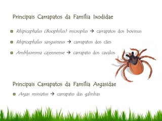 Principais Carrapatos da Família Ixodidae
Rhipicephalus (Boophilus) microplus  carrapatos dos bovinus
Rhipicephalus sanguineus  carrapatos dos cães
Amblyomma cajennense  carrapato dos cavalos
Principais Carrapatos da Família Argasidae
Argas miniatus  carrapato das galinhas
 