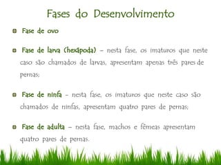 Fases do Desenvolvimento
– nesta fase, os imaturos que neste
caso são chamados de larvas, apresentam apenas três pares de
pernas;
- nesta fase, os imaturos que neste caso são
chamados de ninfas, apresentam quatro pares de pernas;
– nesta fase, machos e fêmeas apresentam
quatro pares de pernas.
 