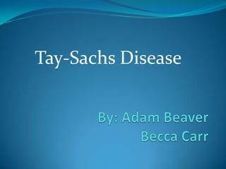 Tay-Sachs Disease  By: Adam BeaverBecca Carr 