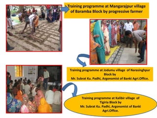 Training programme at Mangarajpur village
of Baramba Block by progressive farmer
Training programme at Jodumu village of Narasinghpur
Block by
Mr. Subrat Ku. Padhi, Argonomist of Banki Agri.Office.
Training programme at Kalibir village of
Tigiria Block by
Mr. Subrat Ku. Padhi, Argonomist of Banki
Agri.Office.
 