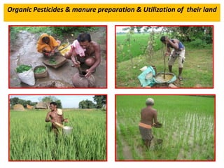 Organic Pesticides & manure preparation & Utilization of their land
 