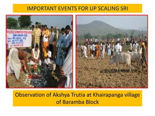 IMPORTANT EVENTS FOR UP SCALING SRI
Observation of Akshya Trutia at Khairapanga village
of Baramba Block
 