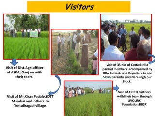 Visitors
Visit of Dist.Agri.officer
of ASKA, Ganjam with
their team.
Visit of 35 nos of Cuttack zilla
parisad members accompanied by
DDA Cuttack and Reporters to see
SRI in Baramba and Narasingh pur
Block.
Visit of TRIPTI partners
with their team through
LIVOLINK
Foundation,BBSR
Visit of Mr.Kiran Padale,SDTT
Mumbai and others to
Tentuliragadi village.
 