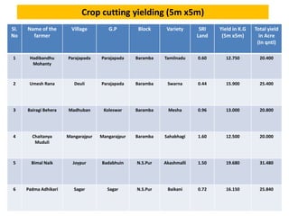 Crop cutting yielding (5m x5m)
Sl.
No
Name of the
farmer
Village G.P Block Variety SRI
Land
Yield in K.G
(5m x5m)
Total yield
in Acre
(In qntl)
1 Hadibandhu
Mohanty
Parajapada Parajapada Baramba Tamilnadu 0.60 12.750 20.400
2 Umesh Rana Deuli Parajapada Baramba Swarna 0.44 15.900 25.400
3 Bairagi Behera Madhuban Koleswar Baramba Mesha 0.96 13.000 20.800
4 Chaitanya
Muduli
Mangarajpur Mangarajpur Baramba Sahabhagi 1.60 12.500 20.000
5 Bimal Naik Joypur Badabhuin N.S.Pur Akashmalli 1.50 19.680 31.480
6 Padma Adhikari Sagar Sagar N.S.Pur Baikani 0.72 16.150 25.840
 