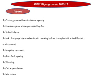 SDTT-SRI programme 2009-12
Issues
 Convergence with mainstream agency
 Line transplantation sponsored by Govt.
 Skilled labour
Lack of appropriate mechanism in marking before transplantation in different
environment.
 Irregular monsoon
 Govt.faulty policy
 Weeding
 Cattle population
 