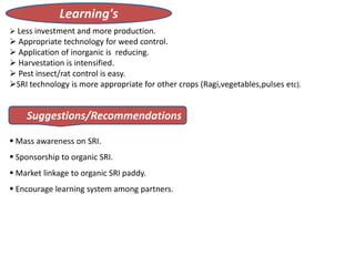 Learning's
 Less investment and more production.
 Appropriate technology for weed control.
 Application of inorganic is reducing.
 Harvestation is intensified.
 Pest insect/rat control is easy.
SRI technology is more appropriate for other crops (Ragi,vegetables,pulses etc).
 Mass awareness on SRI.
 Sponsorship to organic SRI.
 Market linkage to organic SRI paddy.
 Encourage learning system among partners.
Suggestions/Recommendations
 