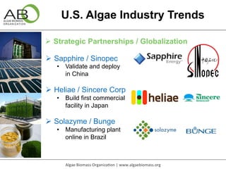U.S. Algae Industry Trends 
Ø Strategic Partnerships / Globalization 
Ø Sapphire / Sinopec 
• Validate and deploy 
in Ch...