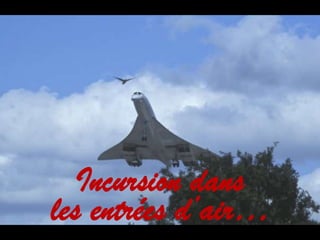 Incursion dans
les entrées d’air…
 