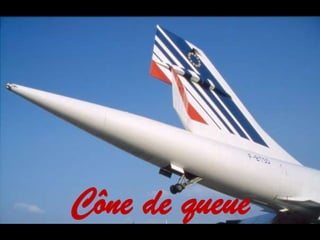 Cône de queue
 