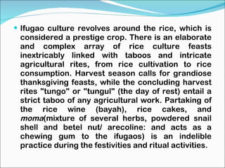Ifugao culture revolves around the rice, which is considered a prestige crop. There is an elaborate and complex array of rice culture feasts inextricably linked with taboos and intricate agricultural rites, from rice cultivation to rice consumption. Harvest season calls for grandiose thanksgiving feasts, while the concluding harvest rites "tungo" or "tungul" (the day of rest) entail a strict taboo of any agricultural work. Partaking of the rice wine (bayah), rice cakes, and  moma (mixture of several herbs, powdered snail shell and betel nut/ arecoline: and acts as a chewing gum to the ifugaos) is an indelible practice during the festivities and ritual activities. 