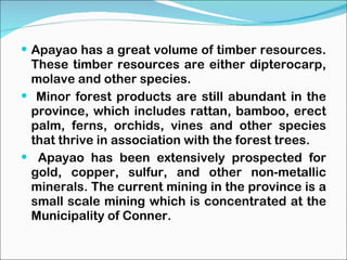 Apayao has a great volume of timber resources. These timber resources are either dipterocarp, molave and other species. Minor forest products are still abundant in the province, which includes rattan, bamboo, erect palm, ferns, orchids, vines and other species that thrive in association with the forest trees. Apayao has been extensively prospected for gold, copper, sulfur, and other non-metallic minerals. The current mining in the province is a small scale mining which is concentrated at the Municipality of Conner. 