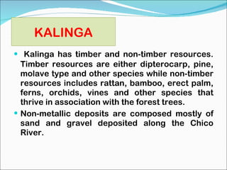 Kalinga has timber and non-timber resources. Timber resources are either dipterocarp, pine, molave type and other species while non-timber resources includes rattan, bamboo, erect palm, ferns, orchids, vines and other species that thrive in association with the forest trees. Non-metallic deposits are composed mostly of sand and gravel deposited along the Chico River. KALINGA 
