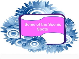 Some of the Scenic Spots 
