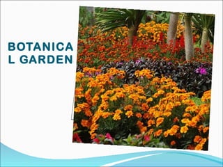 BOTANICAL GARDEN 