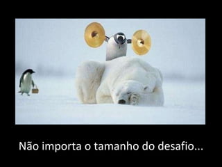 Não importa o tamanho do desafio... 