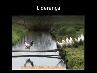 Liderança 
