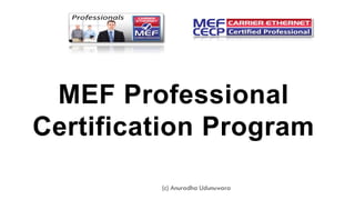 MEF Professional
Certification Program
(c) Anuradha Udunuwara
 