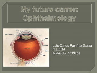 My futurecarrer: Ophthalmology Luis Carlos Ramírez Garza   N.L.# 24 Matricula: 1533258 