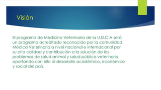 Visión
El programa de Medicina Veterinaria de la U.D.C.A será
un programa acreditado reconocido por la comunidad
Médica Veterinaria a nivel nacional e internacional por
su alta calidad y contribución a la solución de los
problemas de salud animal y salud pública veterinaria,
aportando con ello al desarrollo académico, económico
y social del país.
 