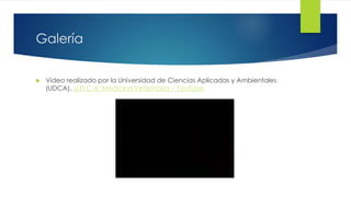 Galería
 Video realizado por la Universidad de Ciencias Aplicadas y Ambientales
(UDCA). U.D.C.A: Medicina Veterinaria – YouTube
 