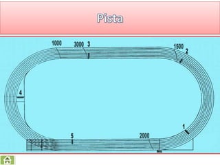 Carrera de obstáculos