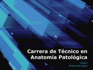 Carrera de Técnico en
Anatomía Patológica
Curso I
Dinámica de clases
 