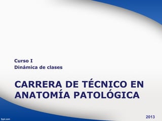 Curso I
Dinámica de clases



CARRERA DE TÉCNICO EN
ANATOMÍA PATOLÓGICA

                        2013
 