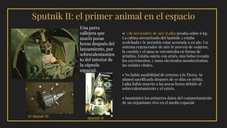 Sputnik II: el primer animal en el espacio
Una perra
callejera que
murió pocas
horas después del
lanzamiento, por
sobrecalentamien
to del interior de
la cápsula
espacial.
•( 3 de noviembre de 1957 )Laika pesaba sobre 6 kg.
La cabina presurizada del Sputnik 2 estaba
acolchada y le permitía estar acostada o en pie. Un
sistema regenerador de aire le proveía de oxígeno;
la comida y el agua se encontraba en forma de
gelatina. Estaba sujeta con arnés, una bolsa recogía
los excrementos, y unos electrodos monitorizaban
las señales vitales.
• No había posibilidad de retorno a la Tierra. Se
planeó sacrificarla después de 10 días en órbita.
Laika había muerto a las pocas horas debido al
sobrecalentamiento y el estrés.
• Suministró los primeros datos del comportamiento
de un organismo vivo en el medio espacial.
El Sputnik III
Sputnik II
 