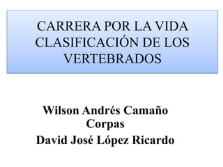 CARRERA POR LA VIDA CLASIFICACIÓN DE LOS VERTEBRADOS Wilson Andrés Camaño Corpas  David José López Ricardo  