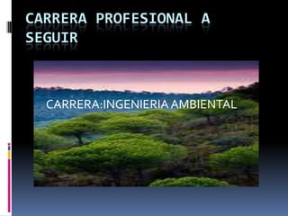 CARRERA PROFESIONAL A SEGUIR  CARRERA:INGENIERIA AMBIENTAL 
