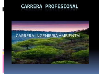 CARRERA PROFESIONAL  CARRERA:INGENIERIA AMBIENTAL 