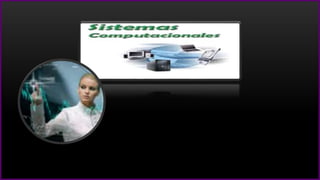 Carrera profesional  elizabeth