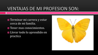 VENTAJAS DE MI PROFESION SON:
 Terminar mi carrera y estar
cerca de mi familia.
 Tener mas conocimientos.
 Llevar todo lo aprendido en
practica
 