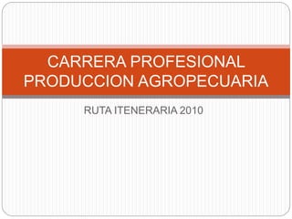 RUTA ITENERARIA 2010
CARRERA PROFESIONAL
PRODUCCION AGROPECUARIA
 
