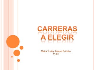 Maira Yurley Araque Briceño
11-01
 