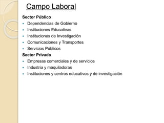 Sector Público
 Dependencias de Gobierno
 Instituciones Educativas
 Instituciones de Investigación
 Comunicaciones y Transportes
 Servicios Públicos
Sector Privado
 Empresas comerciales y de servicios
 Industria y maquiladoras
 Instituciones y centros educativos y de investigación
Campo Laboral
 