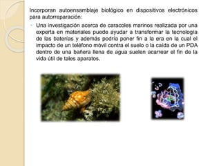 Incorporan autoensamblaje biológico en dispositivos electrónicos
para autorreparación:
◦ Una investigación acerca de caracoles marinos realizada por una
experta en materiales puede ayudar a transformar la tecnología
de las baterías y además podría poner fin a la era en la cual el
impacto de un teléfono móvil contra el suelo o la caída de un PDA
dentro de una bañera llena de agua suelen acarrear el fin de la
vida útil de tales aparatos.
 