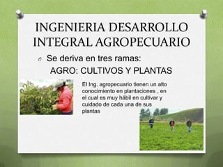 INGENIERIA DESARROLLO
INTEGRAL AGROPECUARIO
O   Se deriva en tres ramas:
     AGRO: CULTIVOS Y PLANTAS
           El Ing. agropecuario tienen un alto
           conocimiento en plantaciones , en
           el cual es muy hábil en cultivar y
           cuidado de cada una de sus
           plantas
 