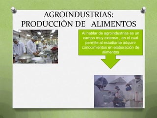 AGROINDUSTRIAS:
PRODUCCIÒN DE ALIMENTOS
            Al hablar de agroindustrias es un
             campo muy extenso , en el cual
              permite al estudiante adquirir
            conocimientos en elaboración de
                        alimentos
 