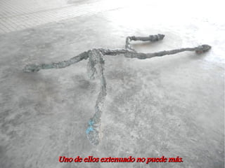 Uno de ellos extenuado no puede más.
 