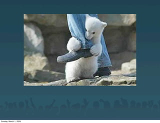 Carrington CMS Theme Framework for WordPress