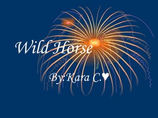 Wild Horse   By:Kara C.♥ 