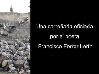 Una carroñada oficiada  por el poeta  Francisco Ferrer Lerín 