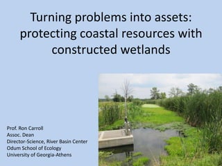 Turning problems into assets:
protecting coastal resources with
constructed wetlands
Prof. Ron Carroll
Assoc. Dean
Director-Science, River Basin Center
Odum School of Ecology
University of Georgia-Athens
 
