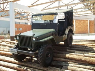 Carros antigos 13 tilias