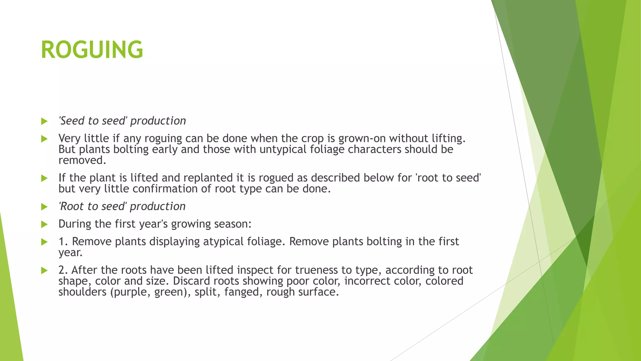 ROGUING
 'Seed to seed' production
 Very little if any roguing can be done when the crop is grown-on without lifting.
But plants bolting early and those with untypical foliage characters should be
removed.
 If the plant is lifted and replanted it is rogued as described below for 'root to seed'
but very little confirmation of root type can be done.
 'Root to seed' production
 During the first year's growing season:
 1. Remove plants displaying atypical foliage. Remove plants bolting in the first
year.
 2. After the roots have been lifted inspect for trueness to type, according to root
shape, color and size. Discard roots showing poor color, incorrect color, colored
shoulders (purple, green), split, fanged, rough surface.
 